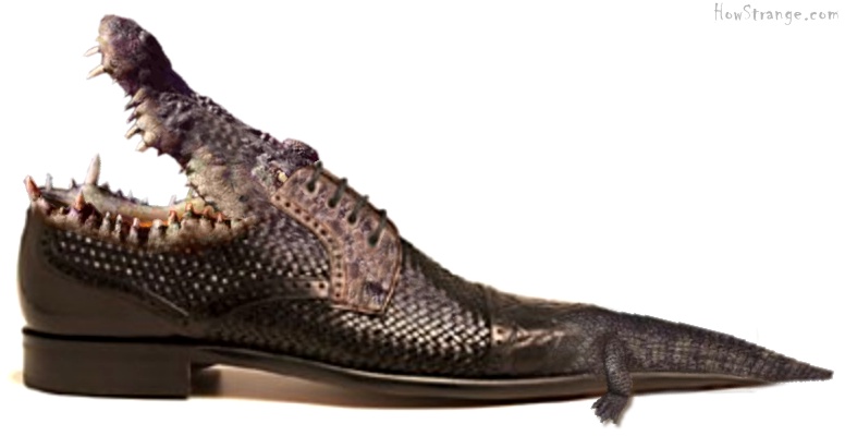 crocodile_shoes_big.jpg