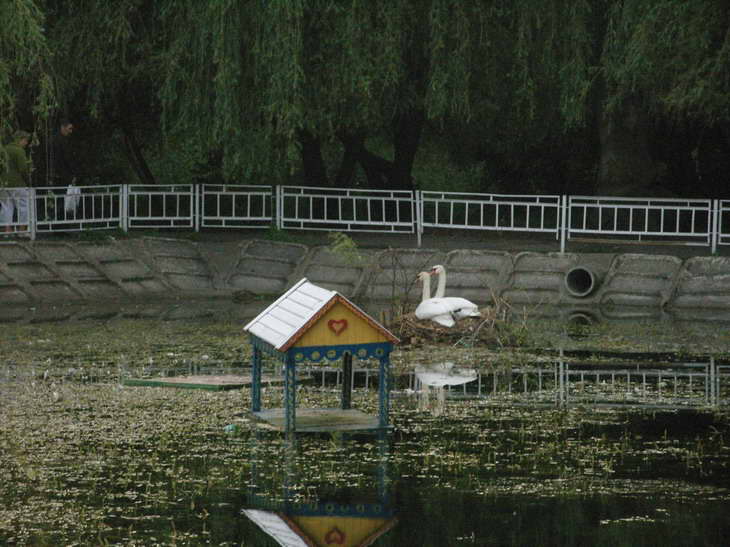 03.JPG